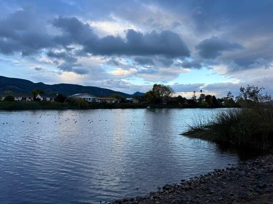 It is early in the morning on a mostly cloudy day. The lake, clouds and sky are all varying colors of blue. Laguna Lake has mild ripples and a lot of ducks floating. The shoreline has rocks and reeds. Across the lake are residential houses, trees, and then mountains and hills. The sky has some cloud breaks with brighter blue and faint colors of pink and yellow. Laguna Lake, San Luis Obispo, California.