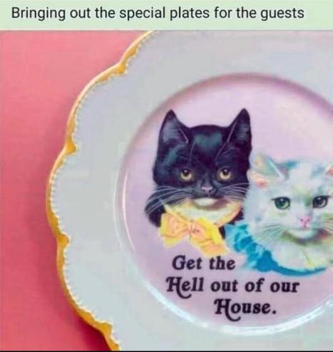 A decorative plate with two judgmental cats dressed in formal attire. Underneath them is the message “Get the Hell out of our House.” Caption reads “Bringing out the special plates for the guests.” These kitties are not here for your small talk or your gluten allergy.