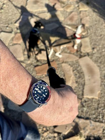 wristwatch selfie w/dachshunds