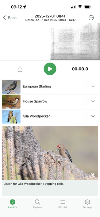 Merlin app screengrab