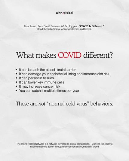 Same white, paper-texture poster and top ‘whn.global’ logo. Large title reads ‘What makes COVID different?’ with ‘COVID’ in red, followed by a bulleted list.
Text: ‘Paraphrased from David Brasure’s WHN blog post, “COVID Is Different.” Read the full article at whn.global/covid-is-different.
What makes COVID different?
• It can breach the blood–brain barrier
• It can damage your endothelial lining and increase clot risk
• It can persist in tissues
• It can lower key immune cells
• It may increase cancer risk
• You can catch it multiple times per year
These are not “normal cold virus” behaviors.’
Footer line about the World Health Network.