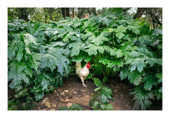 <a href="http://www.silvacordeiro.com" rel="noreferrer nofollow">www.silvacordeiro.com</a>