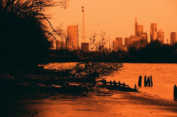 redscale film photo taken looking over the Schuylkill river at the Philadelphia skyline; the riverbank on this side is sandy and smooth, with densely tangled trees and shrubs creating a dark curtain on the left of the image; some fallen trees and debris intermingle with the partly decomposed remnants of an old pier or dock sticking out of the sand and water, while the sky and buildings above loom in the distance; the orangey red color lends a somewhat post-apocalytic vibe to the whole image