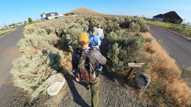 A desert mountain hiking trail scene from the Tri-Cities area of eastern Washington State under clear blue skies.