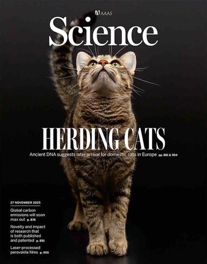 Front cover of the journal Science, black background with a cat in the front brown with black stripes. Across the cat the title reads Herding Cats