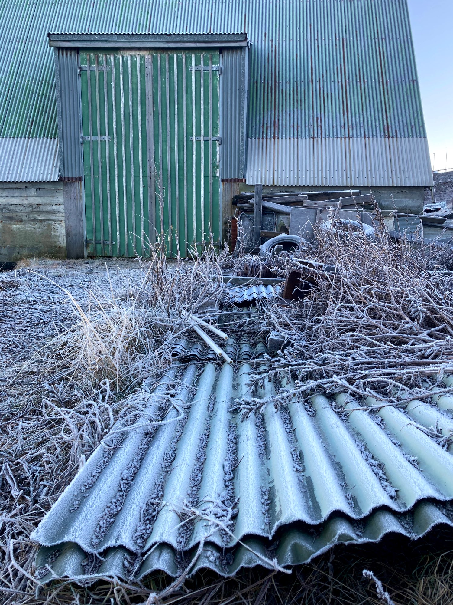 Frozen corrugated iron and tyres surrounded by frozen grass next to a frozen boat house.