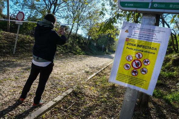 FOTODELDIA GRAFCAT5210. BARCELONA, 01/12/2025.- Aspecto de uno de los accesos al Parque Natural de Collserola, alertando de la presencia de la peste porcina hallada en jabalíes autóctonos de la zona. (EFE/Enric Fontcuberta)