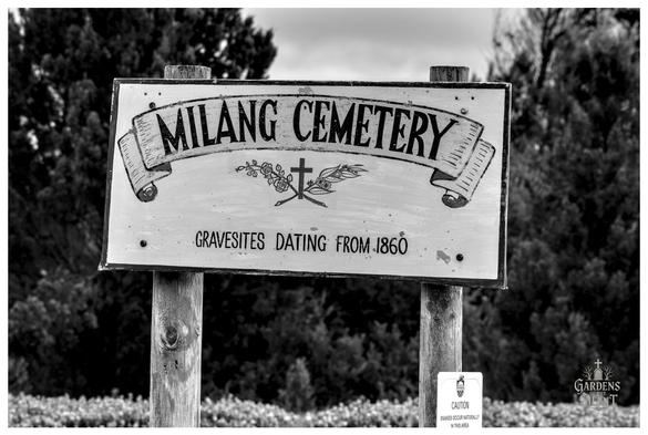 Black and white photo of the sign for Milang Cemetery. The white sign is mounted on two wooden posts and features the text "MILANG CEMETERY" on a banner graphic, with "GRAVESITES DATING FROM 1860" below.

The sign also includes a small central graphic of a cross flanked by a rose and a palm branch. In the bottom right corner, a smaller white sign reads "CAUTION SNAKES OCCUR NATURALLY WITHIN AREA". The background is blurred foliage and a bright sky.