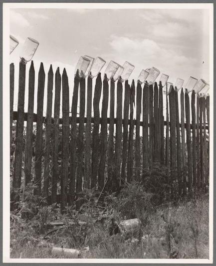 The image displays a rural scene featuring an old-fashioned fence constructed of vertical wooden slats. Atop each pole, there is an inverted glass jar with its opening facing the sky and narrow bottom down towards earth; this suggests that they are being used as makeshift finials or decorative elements rather than functional objects like preserving jars for food storage.

The background reveals a wooded area filled with tall trees indicative of a temperate forest. The foliage appears dense, which might indicate it's not heavily pruned, giving the landscape a wild and natural appearance. There is no human presence visible in this picture; hence its focus seems to be on man-made objects coexisting within nature.

The grayscale tone of the image adds an air of nostalgia or historical context, implying that these could have been captured during earlier times when such practices were common for preserving food items like fruits and berries. The photograph's monochromatic palette emphasizes textures and contrasts between different elements in a muted color range dominated by shades of black, white, grey, brown, with hints of green from the foliage.

Without any discernible branding or distinct identifiers on these jars, their exact origin remains unclear; however, this could be reminiscent of practices observed during World War II when there was an emphasis to preserve food resources. Overall, it presents a serene yet evocativ [...]