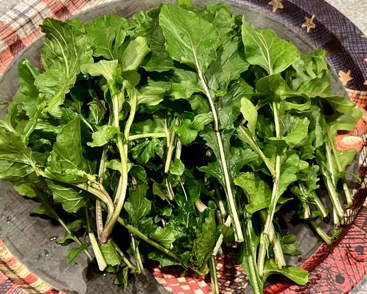 Washed green leaves that resemble something between spinach and dandelion greens — they are on a round tray, still wet.