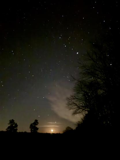 Moon rising over a hayfield with stars and clouds and shadows of trees.