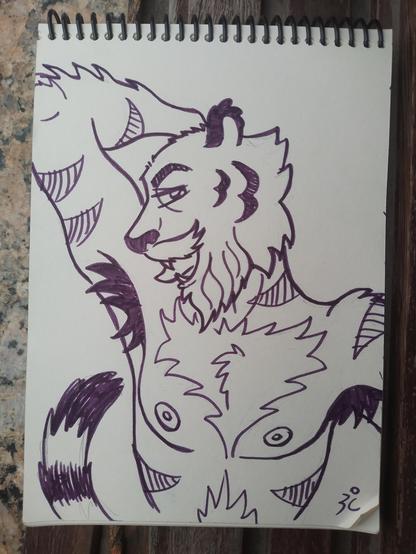 Picture of my sketchbook showing a cartoonish drawing of my tiger fursona, made with an purple thic felt-tip pen . He has hairy chest and armpits, gray beard and a big nose. He's shirtless, with his right arm raised and licking his armpit, looking horny to the camera.