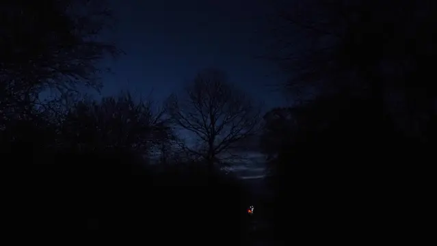 Beleuchtetes Fahrrad in der Dämmerung . Schattenrisse von Büschen und Bäumen sind zu sehen