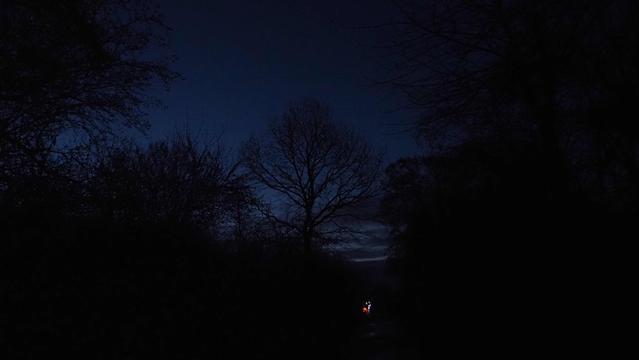 Beleuchtetes Fahrrad in der Dämmerung . Schattenrisse von Büschen und Bäumen sind zu sehen