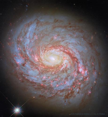 2025 December 2
A big beautiful sprawling spiral galaxy is shown. The galaxy has well defined spiral arms with bright blue star clusters and dark red dust. The center is a bright white. 

M77: Spiral Galaxy with an Active Center
 * Image Credit: Hubble, NASA, ESA, L. C. Ho, D. Thilker

Explanation: 
What's happening in the center of nearby spiral galaxy M77? The face-on galaxy lies a mere 47 million light-years away toward the constellation of the Sea Monster (Cetus). At that estimated distance, this gorgeous island universe is about 100 thousand light-years across. Also known as NGC 1068, its compact and very bright core is well studied by astronomers exploring the mysteries of supermassive black holes in active Seyfert galaxies. M77's active core glows bright at x-ray, ultraviolet, visible, infrared, and radio wavelengths. The featured sharp image of M77 was taken by the Hubble Space Telescope. The image shows details of the spiral's winding spiral arms as traced by obscuring red dust clouds and blue star clusters, all circling the galaxy's bright white luminous center. 

Authors & editors: Robert Nemiroff (MTU) & Jerry Bonnell (UMCP)
NASA Official: Amber Straughn Specific rights apply.
NASA Web Privacy, Accessibility, Notices;
A service of: ASD at NASA / GSFC,
NASA Science Activation
& Michigan Tech. U.