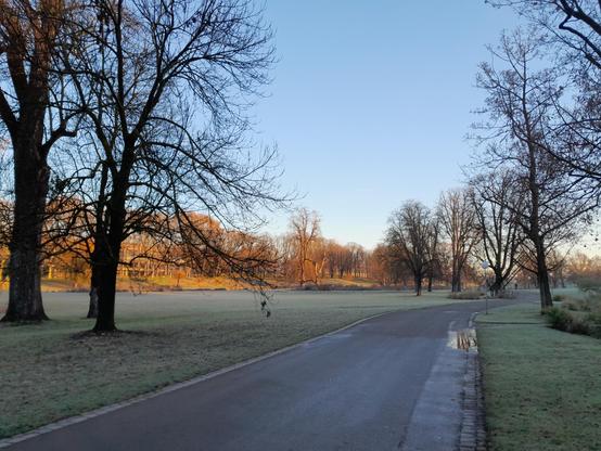 unter einem blaßblauen Himmel zieht sich ein Geh- und Radweg, der zu beiden Seiten von hohen blattlosen Bäumen gesäumt ist, durch einen Park. Der Weg liegt noch im Schatten, auf der linken Seite werden die Bäume schon von der goldenen Morgensonne beschienen.