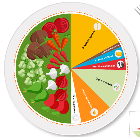 Assiette proposée dans le régime "EAT-Lancet" avec environ une demi-assiette de fruits et légumes et l'autre moitié, exprimée en calories, constituée de grains entiers, de protéines végétales, d'huiles végétales non saturées et (éventuellement) protéines animales en quantité modérées.