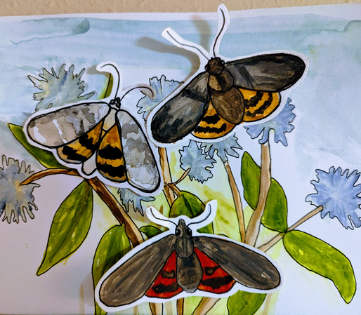 Watercolor of three underwing moths, each with brightly colored hind wings, cut out and placed on top of a painting of blue flowers.