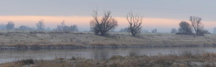 nach Sonnenaufgang ein heller Streifen am Horinzont, ansonsten grau-reifige Landschaft mit Elbe