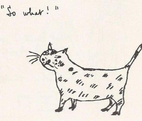 Drawing by British poet Stevie Smith (1902-1971)
Pen and ink simple outline drawing of a standing cat facing left and looking forwards, the cat has a body with small lines indicating fur or coloured patches, it has a distainful expression, above left is hand written text in inverted commas stating "So what!", all on a plain cream background.