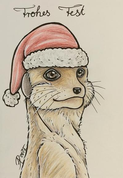 Ein Erdmännchen mit roter Weihnachtsmütze. Gezeichnet auf Din A6 Format und Faber Castell Stiften.
