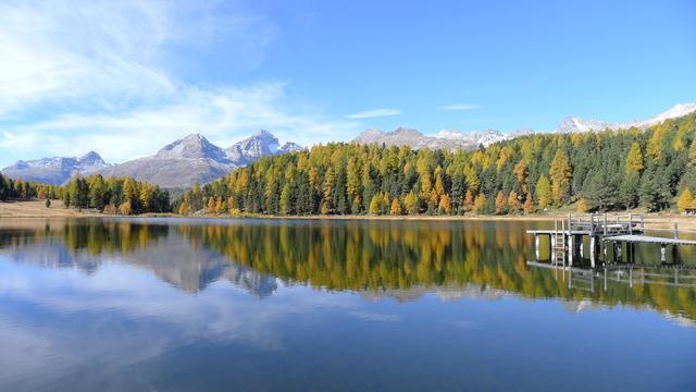 Zu sehen ist der ruhige Stazersee bei St. Moritz, umgeben von herbstlich gefärbten Bäumen und majestätischen Bergen im Hintergrund, mit einem kleinen Steg, der ins Wasser ragt.