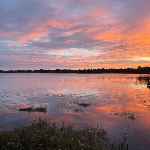 brilliant pinks and oranges cover the sky for our lakeside sunrise this morning calm water below absorbing the lovely colors