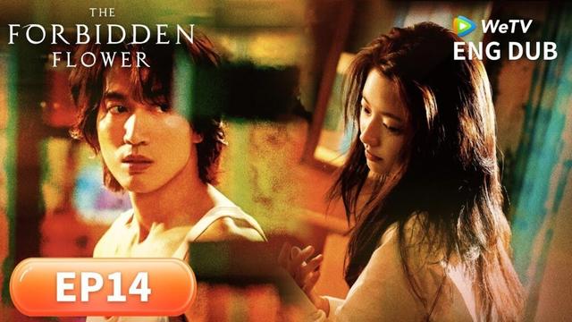 ENG DUB【The Forbidden Flower夏花】EP14 | You Heal Me, I Complete You❤️ | JerryYan, Xu Ruohan | WeTV