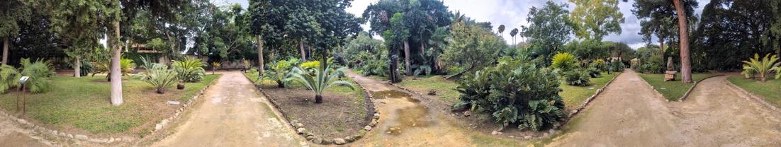 Panorama Orto Botanico di Palermo