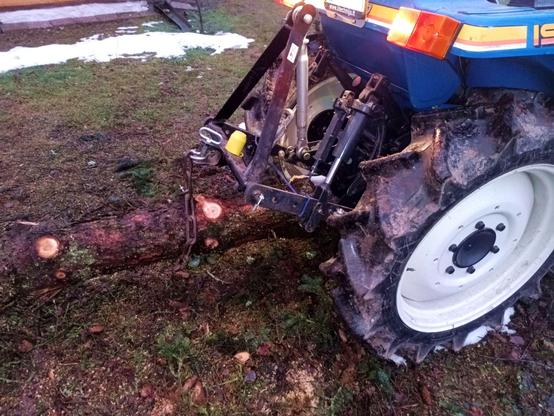 Tractor three point hitch lifting the thin end of the log up in the air with the help of a chain and an old towing hook.