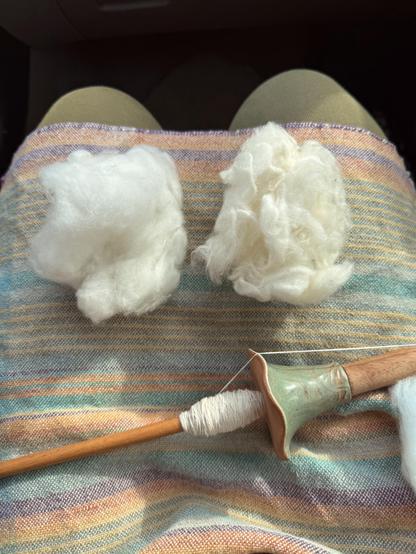 A photo of two puffs of cotton and a spindle sitting on top of a striped multicolored woven napkin in my lap. The puff on the left (Upland cotton) is fluffier and whiter than the puff on the right (FL native). The spindle sits below with an aqua colored ceramic whorl on a wooden dowel.