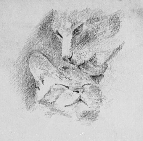 The Cats "Pituso" and "Zorrillo" / Los Gatos "Pituso" y "Zorrillo" (1958) by Remedios Varo (1908 - 1963)