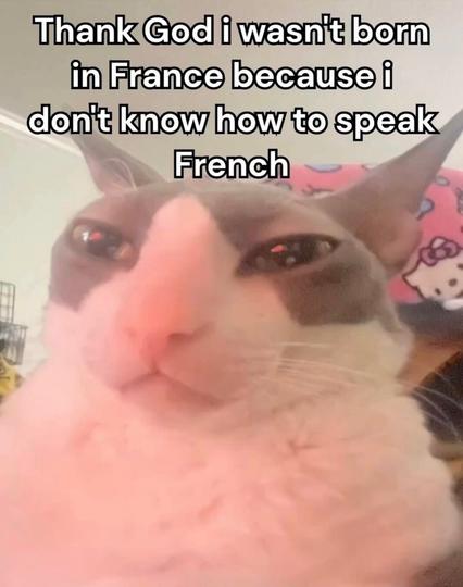 A confused-looking cat stares deadpan with the caption “Thank God I wasn’t born in France because I don’t know how to speak French.” The cat looks smug yet deeply wrong, embodying the spirit of confident ignorance.