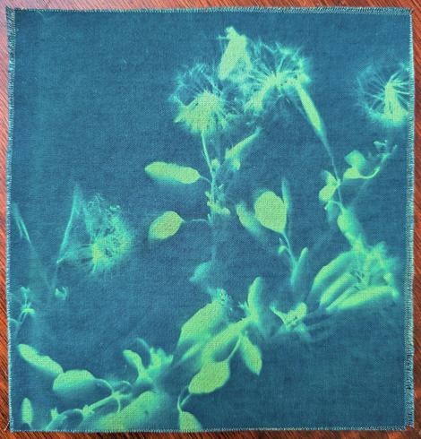 A teal piece of fabric with a chartreuse negative print of cuttings from a narrow leaf papalo. CC BY-SA 4.0 Kate Zimmerman.