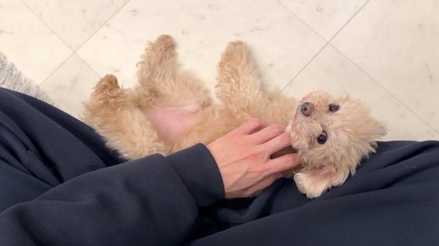 ふたり揃って消化不良になりました