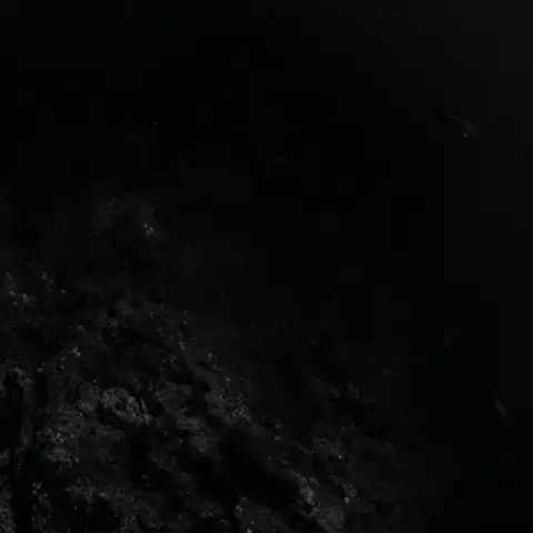 『dead water』CRZKNYアートワーク