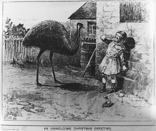 Postcard illustration in which an emu approaches what appears to be a frightened child. The caption reads, "An Unwelcome Christmas Greeting."