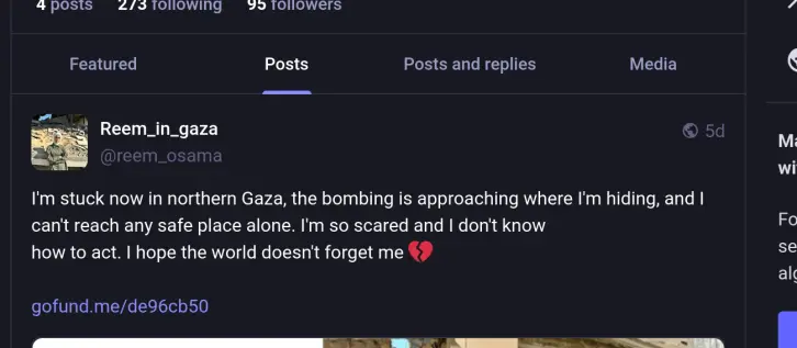 写真2/2：Facebookの投稿と全く同じ内容ですが、今回はMastodonに投稿されています。文章は絵文字やGoFundMeのURLまで完全に一致しています。ただし今回は、19歳の少女だと主張しています。