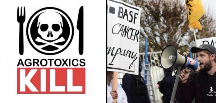 France: Peasants and Activists 
Block BASF Pesticide Plant
Stop Production 
Collect Critical Evidence
𝗘𝗡: https://movimientos.social/@viacampesina_en/115570496151164202
𝗘𝗦: https://movimientos.social/@viacampesina_es/115581041871254936
𝗙𝗥: https://movimientos.social/@viacampesina_fr/115570537691593416

#ToxicTrade
#AgrotoxicsKILL #StopAgrotoxics