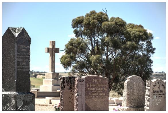 A photograph of several weathered gravestones in the Wirrabara Cemetery, South Australia, set against a backdrop of rolling hills and a large eucalyptus tree under a clear blue sky.  In the centre, a prominent stone cross stands behind a cluster of headstones, including one for Annie Elenora Pole. The image is signed by Bron Peirce.