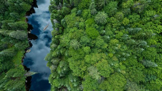 Boreal beauty - © Abstract Aerial Art / Digital Vision / Getty Images