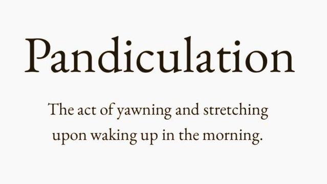 word meme - Pandiculation
The act of yawning and stretching
upon waking up in the morning.