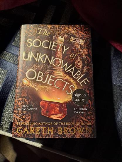 The cover of the book.

A leather bag that clasps closed along the top is open and glowing golden from within. A number of objects are floating above it in a swirl of golden glitter including: a chess rock, a locket, an old fashioned hand mirror, and an hourglass.