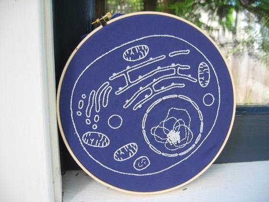 An embroidered piece in an embroidery hoop. The embroidered design is a diagram of a cell in white thread or dark blue fabric.