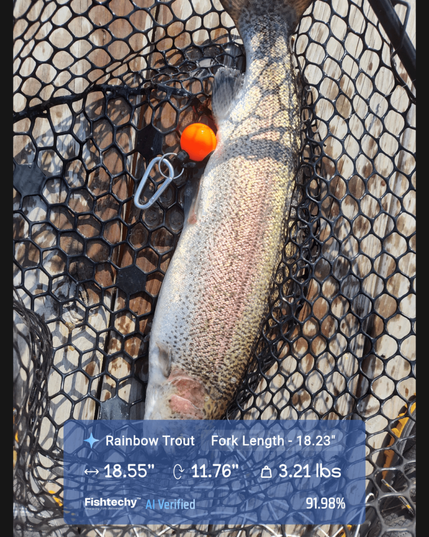 My big one for the year