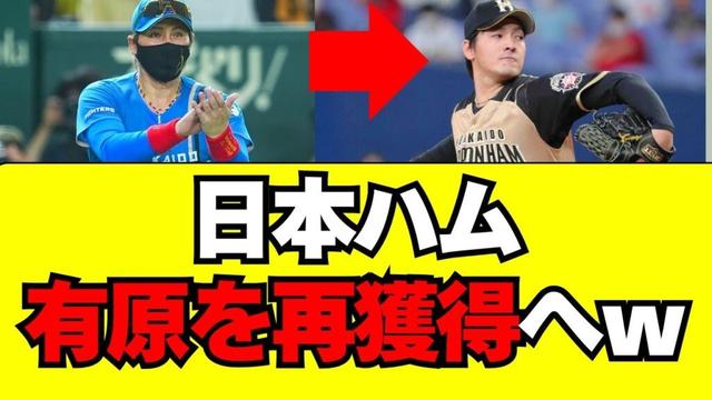 【日本ハム】有原航平を再獲得へ！！
