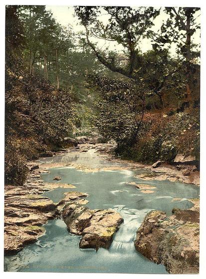 The image depicts a serene and picturesque stream nestled within a dense forested landscape. A gentle, flowing river winds through the scene, surrounded by large rocks that break up its path. The water appears clear with hints of blue-green hues, reflecting the natural beauty surrounding it.

On either side of the stream, lush greenery thrives, including trees, shrubs, and various undergrowth plants, suggesting a moist environment likely fed by the constant flow of the river. In some areas where vegetation is thickest, light filters through in patches, creating dappled shadows on the forest floor.

The scene suggests an untouched or preserved natural setting, with no signs of human disturbance evident from this perspective. The composition and color palette evoke a sense of tranquility and highlight the beauty of the British Isles' woodland landscapes during that era.