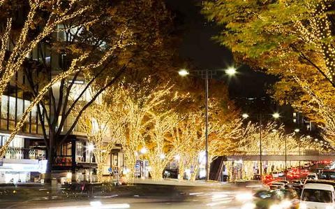 Catch the illuminations in Japan