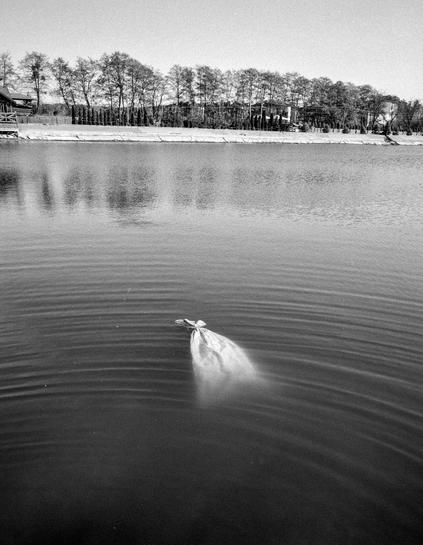 The black-and-white photograph depicts a calm lakeside scene with a striking and unsettling detail in the foreground: a tied sack floating in the water. It drifts just beneath the surface, creating gentle circular ripples that spread outward across the otherwise still lake. The water has a soft, textured sheen, adding to the quiet tension of the scene.
In the background, a row of leafless or lightly leafed trees lines the opposite shore, their reflections faintly visible. Behind them, a few buildings blend subtly into the landscape