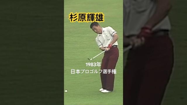 杉原輝雄プロ 1983年日本プロゴルフ選手権 #golf #ゴルフ #ゴルフスイング #golfswing #杉原輝雄
